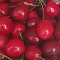 ... :: Анастасия Смирнова