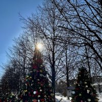 Цветной бульвар :: Натали 