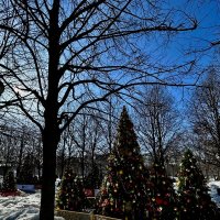 Центр Москвы :: Натали 