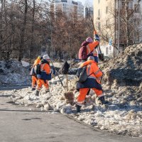 стараются :: Артемий Канителькин