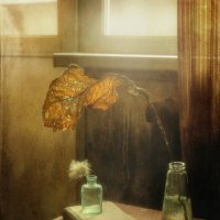 *** :: Oleg Rastorguev