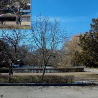 Весна в ростовском зоопарке :: Нина Бутко Весна в ростовском зоопарке :: Нина Бутко