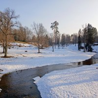 А на речке утки... :: Лия ☼