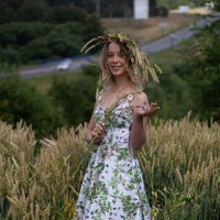 * :: Евгений Ваулин