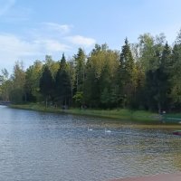 в парке :: Галина R... в парке :: Галина R...