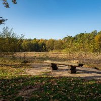 Место отдыха... :: Николай Гирш