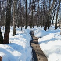 По дороге на работу :: Андрей Лукьянов По дороге на работу :: Андрей Лукьянов