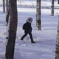 Март...Быстрее- мама ждет с горячим обедом! :: Владимир