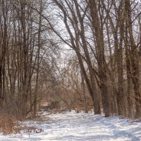 ___ :: Yuriy V ___ :: Yuriy V