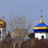 Купола :: Дарья Шуклина