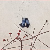 Ищем жильё! :: Валентина Нефёдова Ищем жильё! :: Валентина Нефёдова