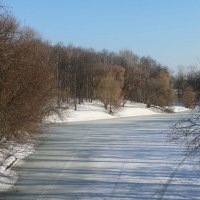 Тени на льду :: Дмитрий И_