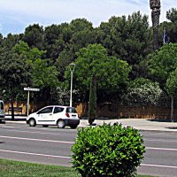 Барселона. :: Владимир Драгунский