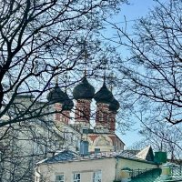 Москва :: Натали 