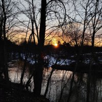 Весна :: Андрей 