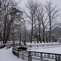 Озеро Тихое, Светлогорск :: Рита Симонова