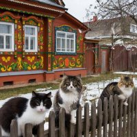 МАРТОВСКИЕ КОТЫ :: СЕРГЕЙ ФИЛОЧКИН