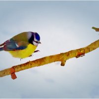 Весенняя акварель :: Валентин Котляров