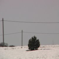 без названия :: fogmeadowww m