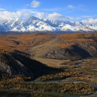 ***** :: владимир 