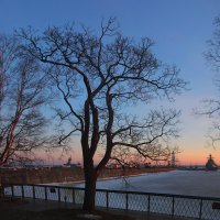 *** :: Сергей Григорьев