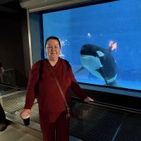 Аквариум :: Юлия Чертищева /