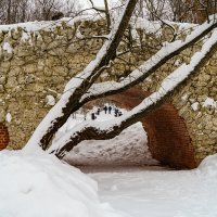 Нескучный сад. Москва. :: Владимир А.Р. Нескучный сад. Москва. :: Владимир А.Р.