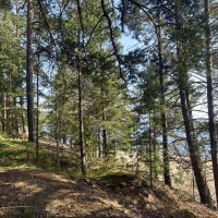 Тихий, уединенный остров Коневец... :: Наталия Павлова