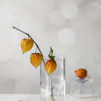 С физалисом :: Нина Кутина