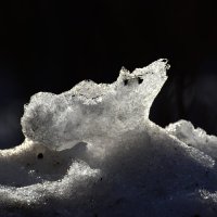 Таяние :: Наталья Вязигина