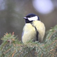 В парке :: Savayr 