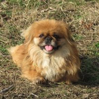 Счастье :: Николай Я Счастье :: Николай Я