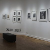 выставка "Жизнь вещей" :: zavitok *