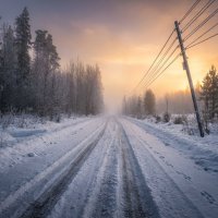 Дорога на дачу :: Лилия Дорога на дачу :: Лилия