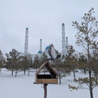 Март :: Андрей Хлопонин