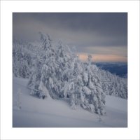 * :: Александр Иванов