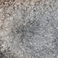 Узоры на асфальте :: Валерий Иванович Узоры на асфальте :: Валерий Иванович