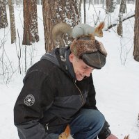 Двух кормит, третья ждет очереди! :: Галина Нестратова