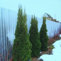 На солнышке тает снег :: Людмила Смородинская