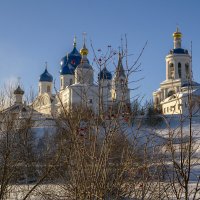 Красные ягоды :: Сергей Цветков