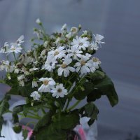 Букет :: Юрий Гайворонскiий