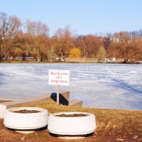 ВЕСЕННЕЕ :: Виктор Никитенко