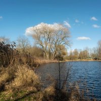 В ожидании весны... :: Николай Гирш