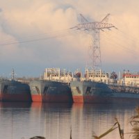 ........ :: Елена Шаламова