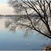 *** :: Aleksandr Gal