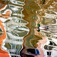 Озерковская наб :: Михаил Бибичков Озерковская наб :: Михаил Бибичков