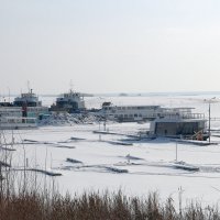 Замерзший порт :: Мишель71 