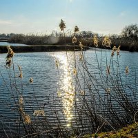 Весна. :: Владимир 