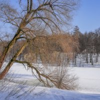 Март в Царицыно... :: Владимир Жданов