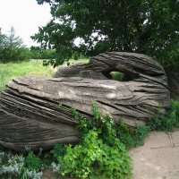 Необыкновенный и загадочный глазастый камушек. :: unix (Илья Утропов)